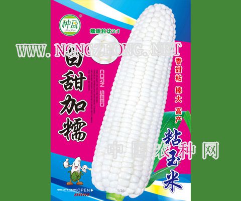 白甜加糯